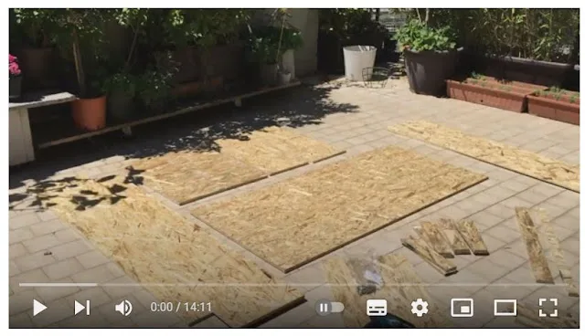 video sulle migliori piante da ufficio