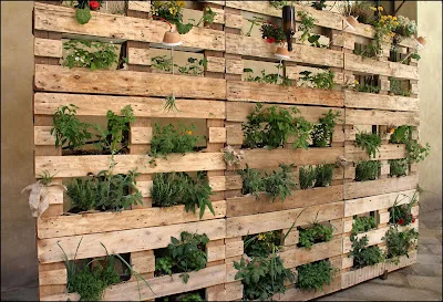 bancali-piante-arredo