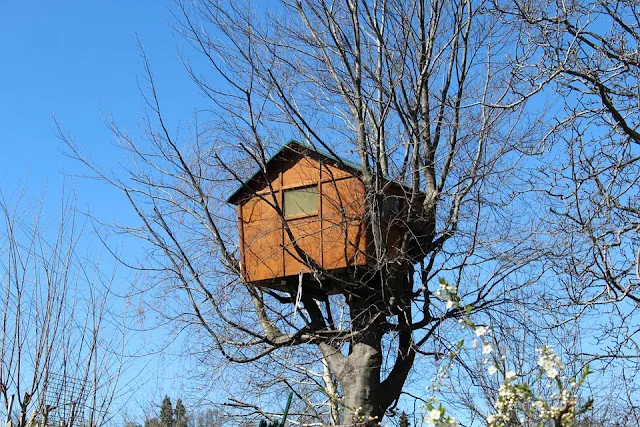casa-sull'albero-legno