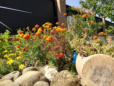 giardino-sassi-arredo