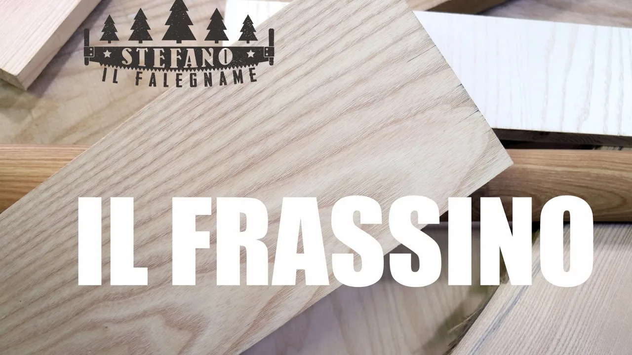 video sul legno di frassino