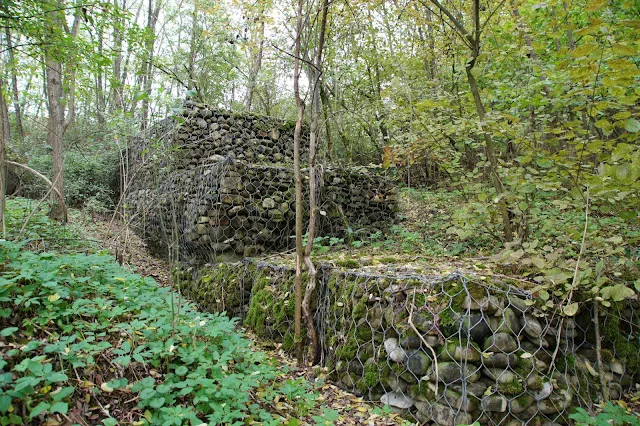 gabbione-gabbionata-sassi-bosco