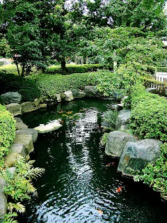 natura-laghetto-artificiale