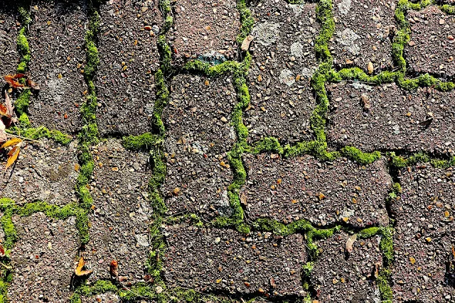 pavimentazione drenante