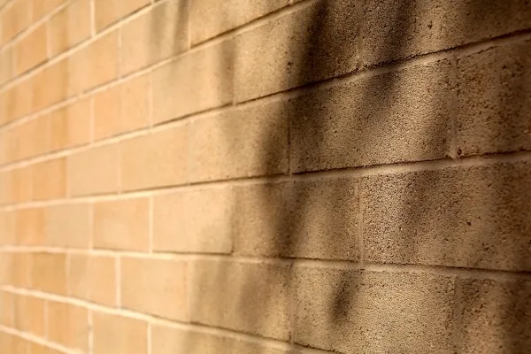 argilla espansa o polistirolo