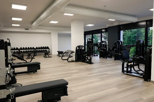 pavimento-palestra laminato-sala pesi