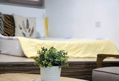 eco-sostenibile